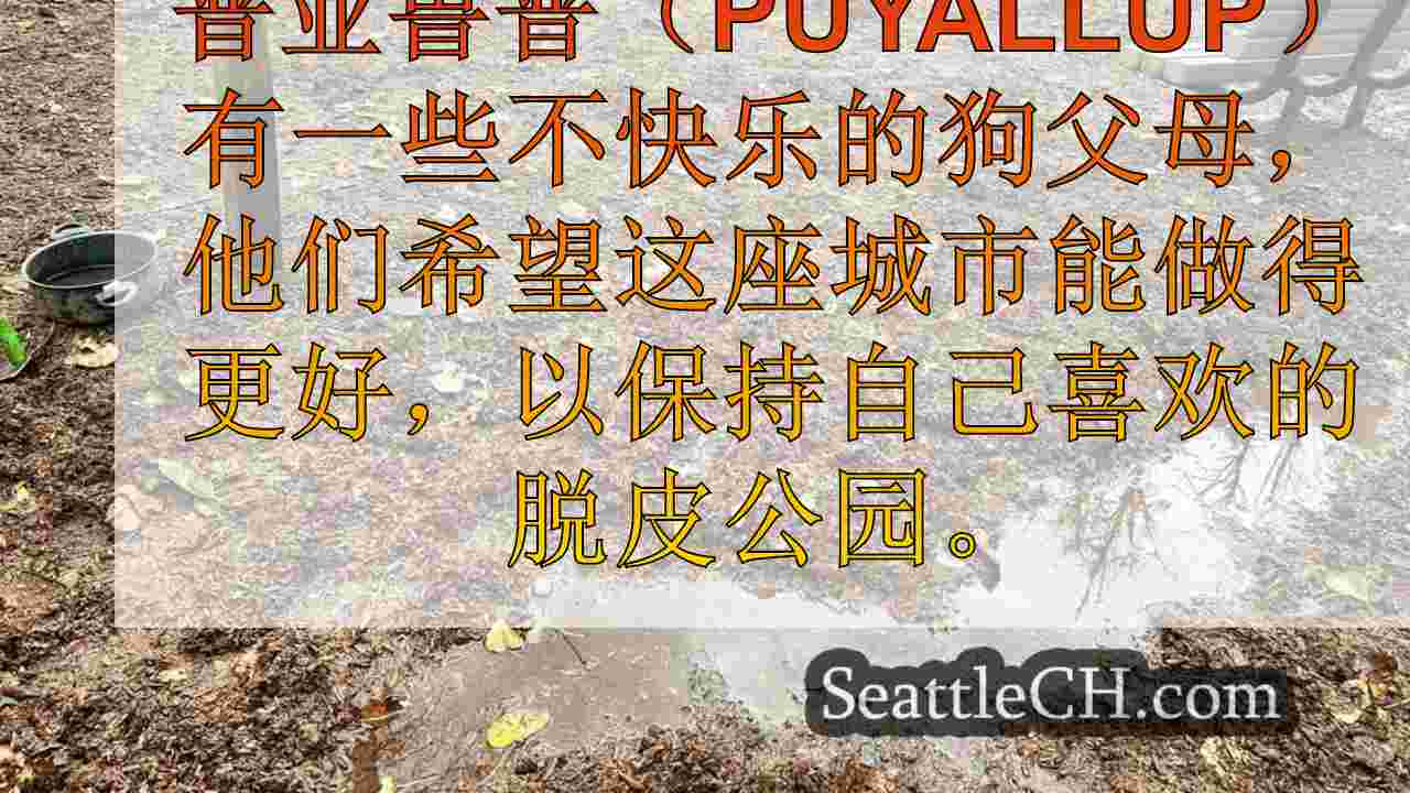 puyallup狗父母要求改善潮湿的克拉克斯克里克南狗公园的维护
