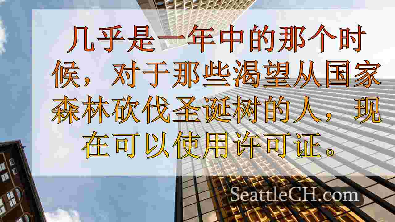 西雅图新闻 SeattleCH