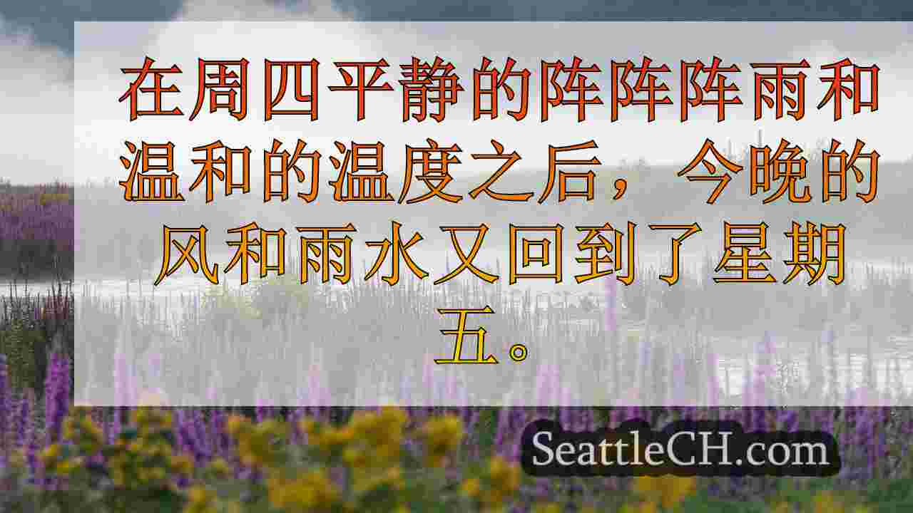 西雅图新闻 SeattleCH
