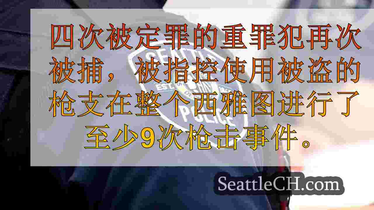 检察官说，被盗的枪支领带被定罪的重罪犯犯有最近的9起西雅图枪击事件