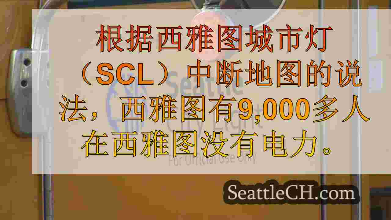 9k北西雅图居民在折线后的黑暗中导致停电