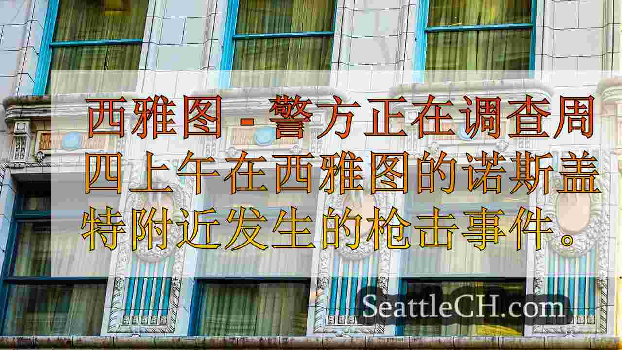 西雅图新闻 SeattleCH