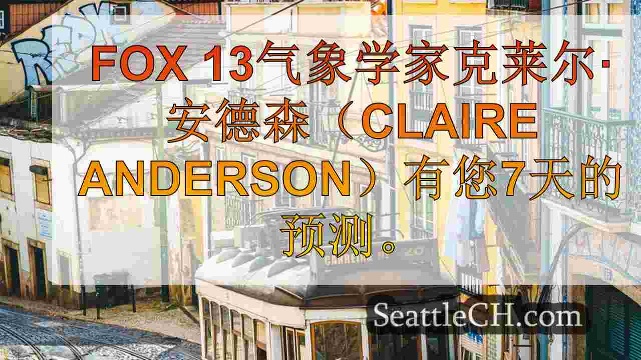 西雅图新闻 SeattleCH
