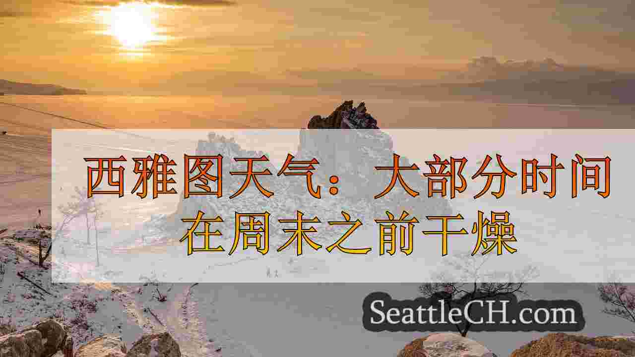 西雅图新闻 SeattleCH