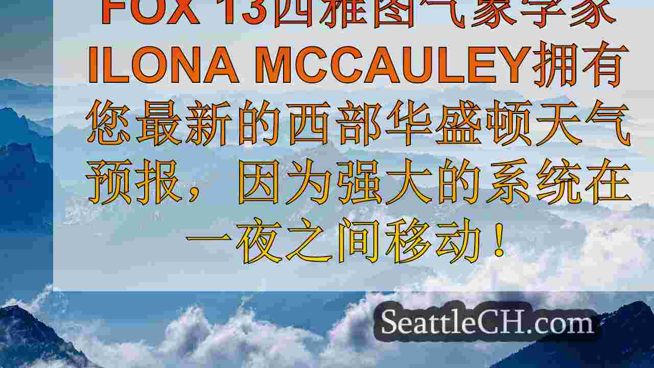 西雅图新闻 SeattleCH