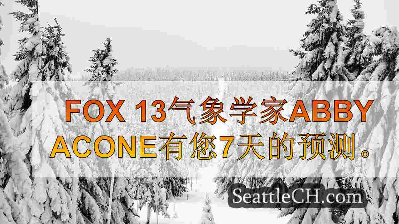 西雅图新闻 SeattleCH