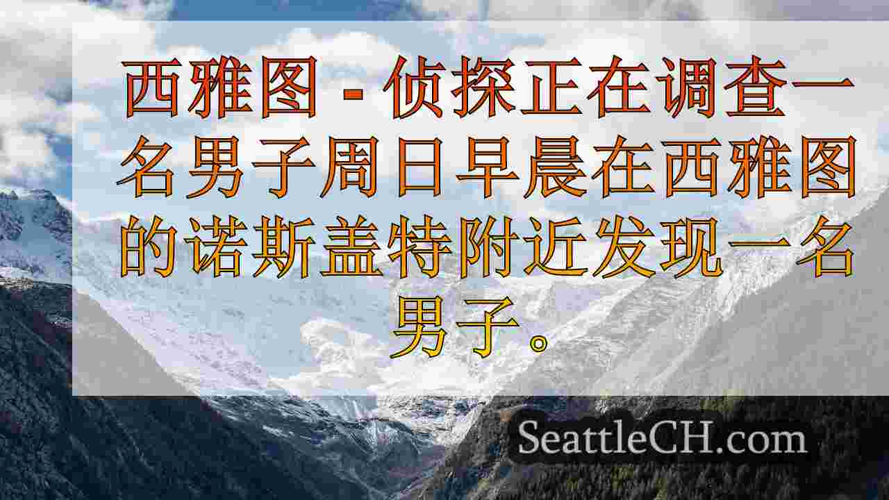 西雅图新闻 SeattleCH