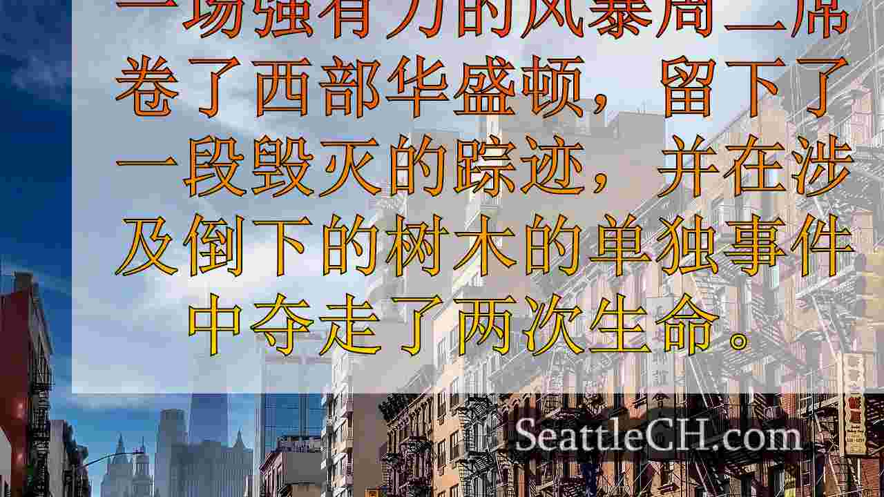 西雅图新闻 SeattleCH
