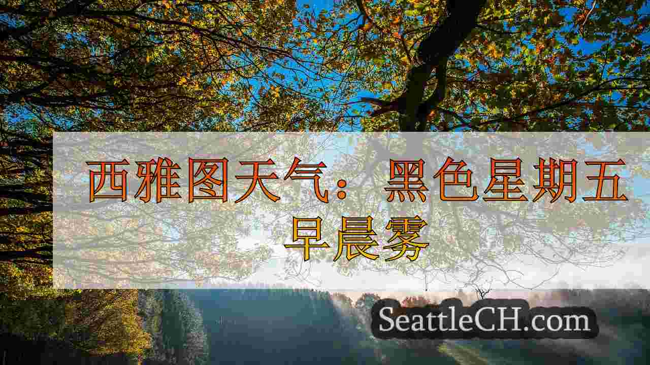 西雅图新闻 SeattleCH