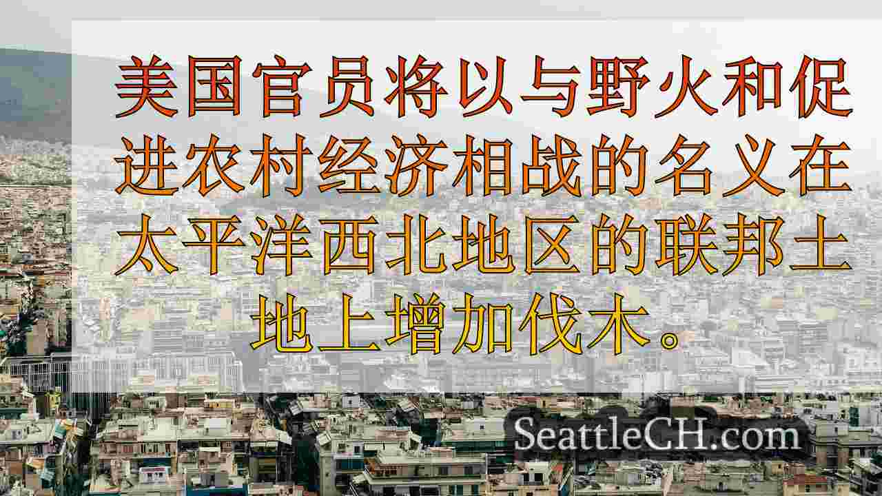 西雅图新闻 SeattleCH