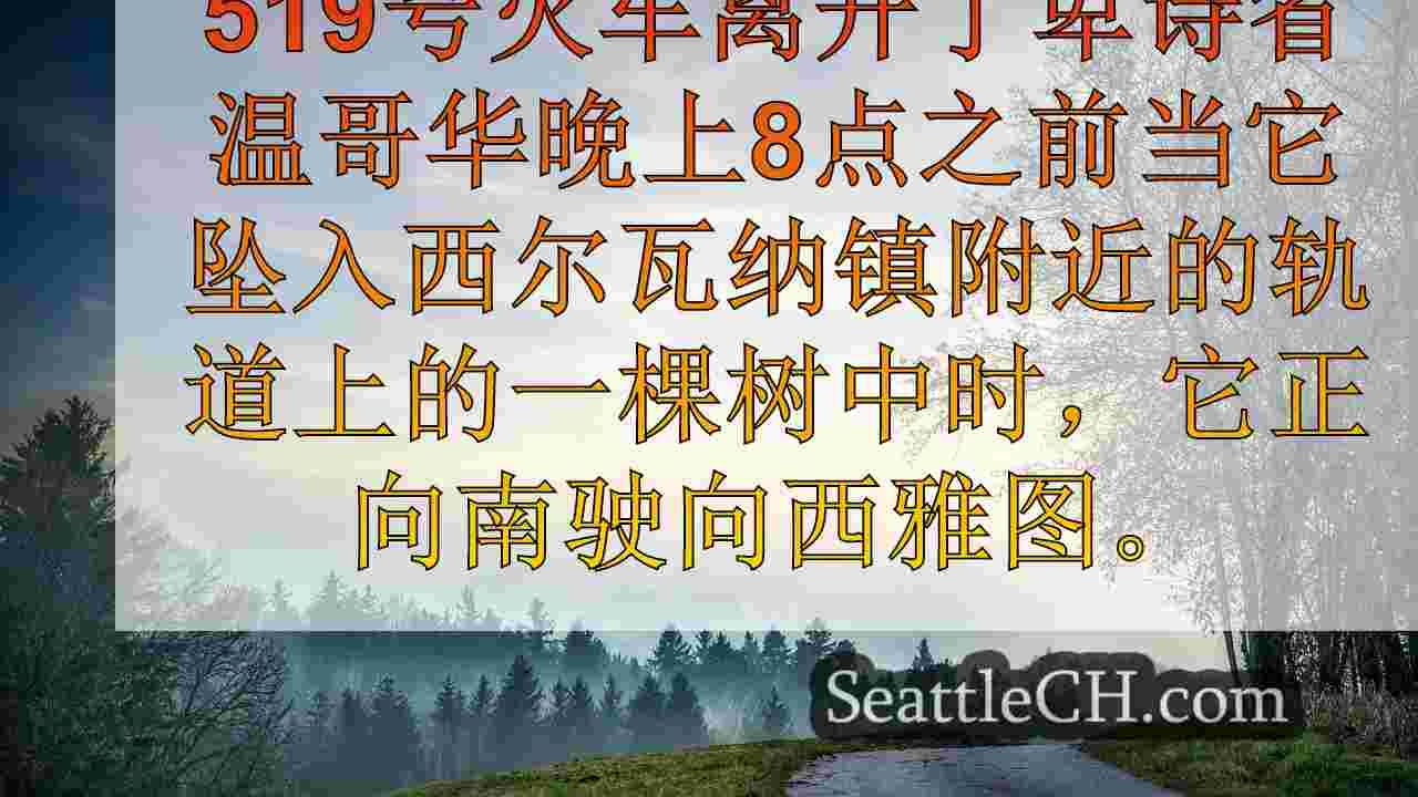 西雅图新闻 SeattleCH
