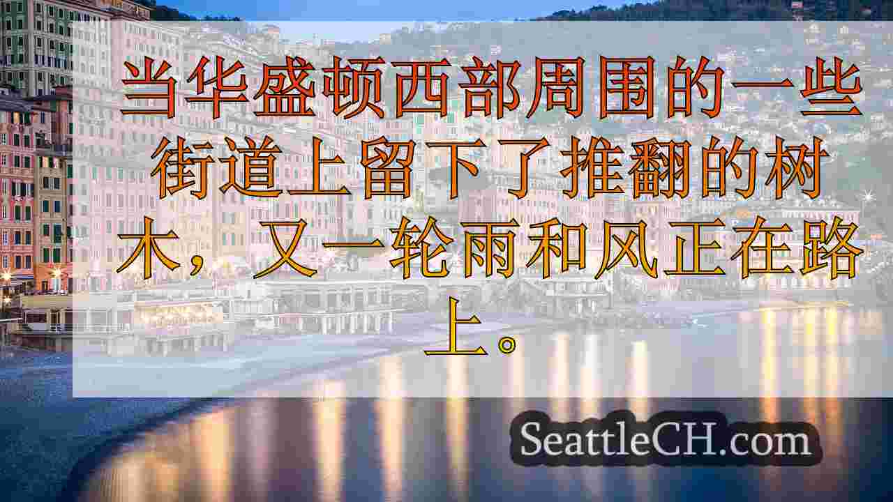 西雅图新闻 SeattleCH