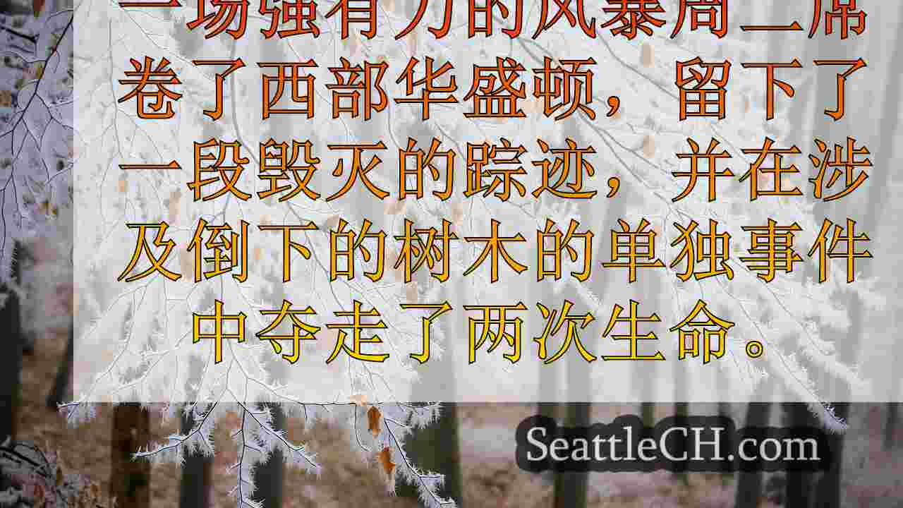 西雅图新闻 SeattleCH