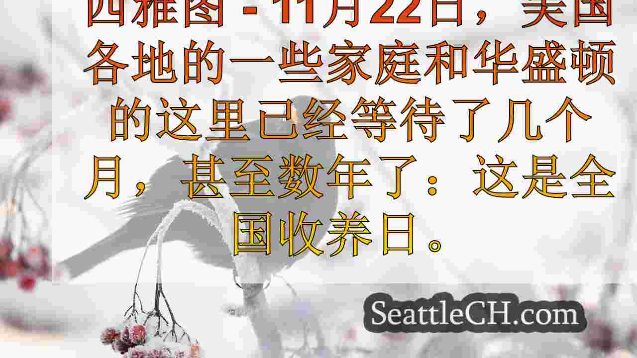 西雅图新闻 SeattleCH
