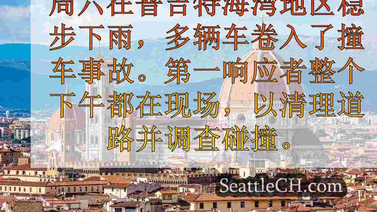 西雅图新闻 SeattleCH