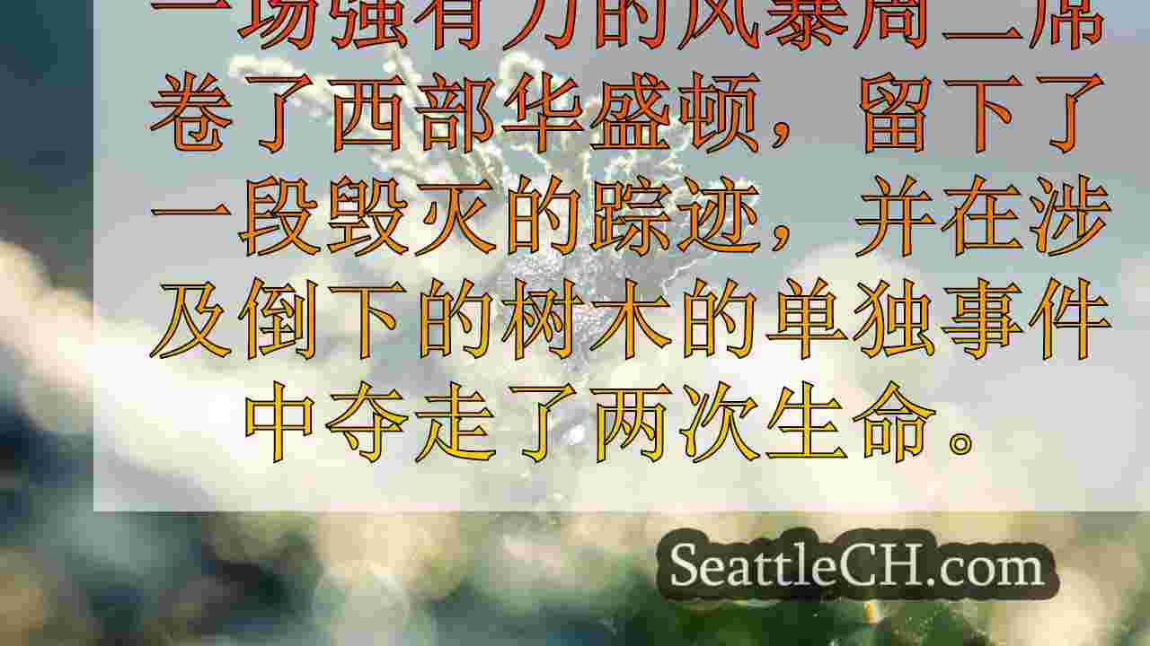 西雅图新闻 SeattleCH
