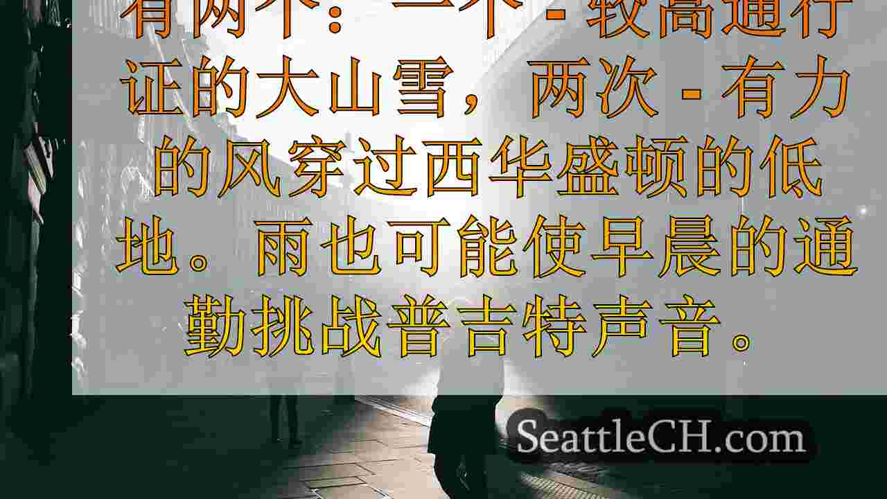 西雅图新闻 SeattleCH