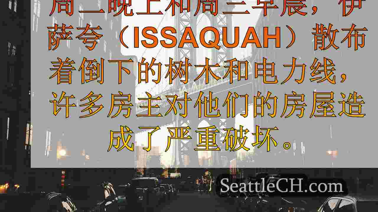 西雅图新闻 SeattleCH