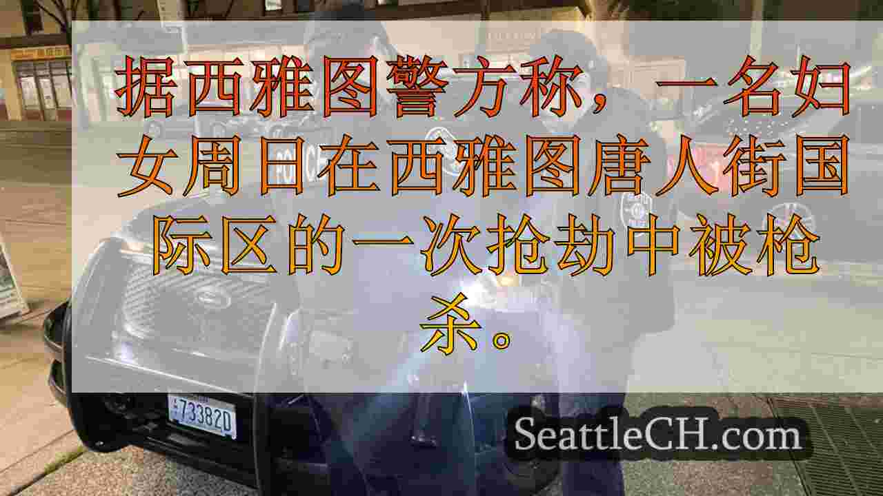 女人在唐人街国际地区抢劫肚子枪抢劫