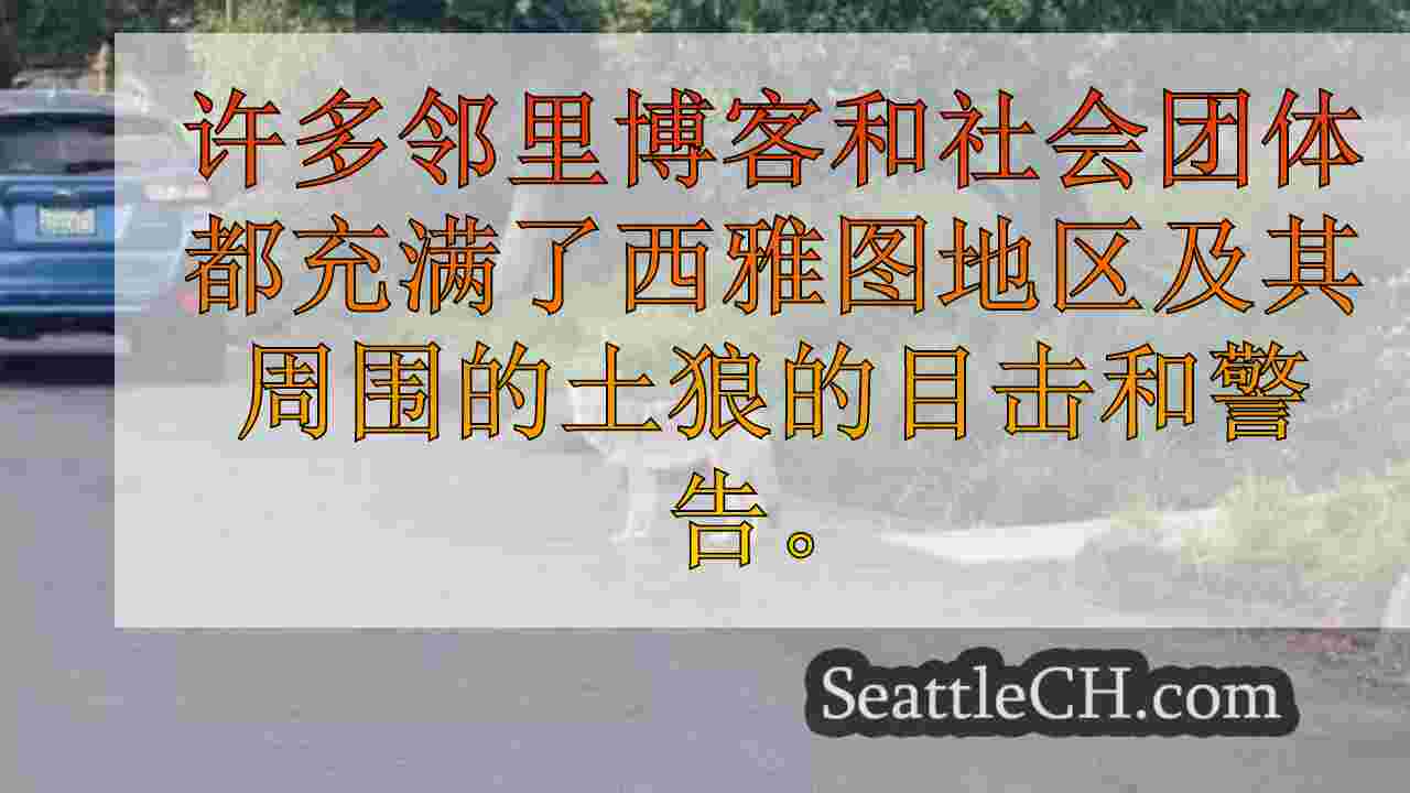 西雅图理事会成员在最近的土狼目击事件后推动采取行动