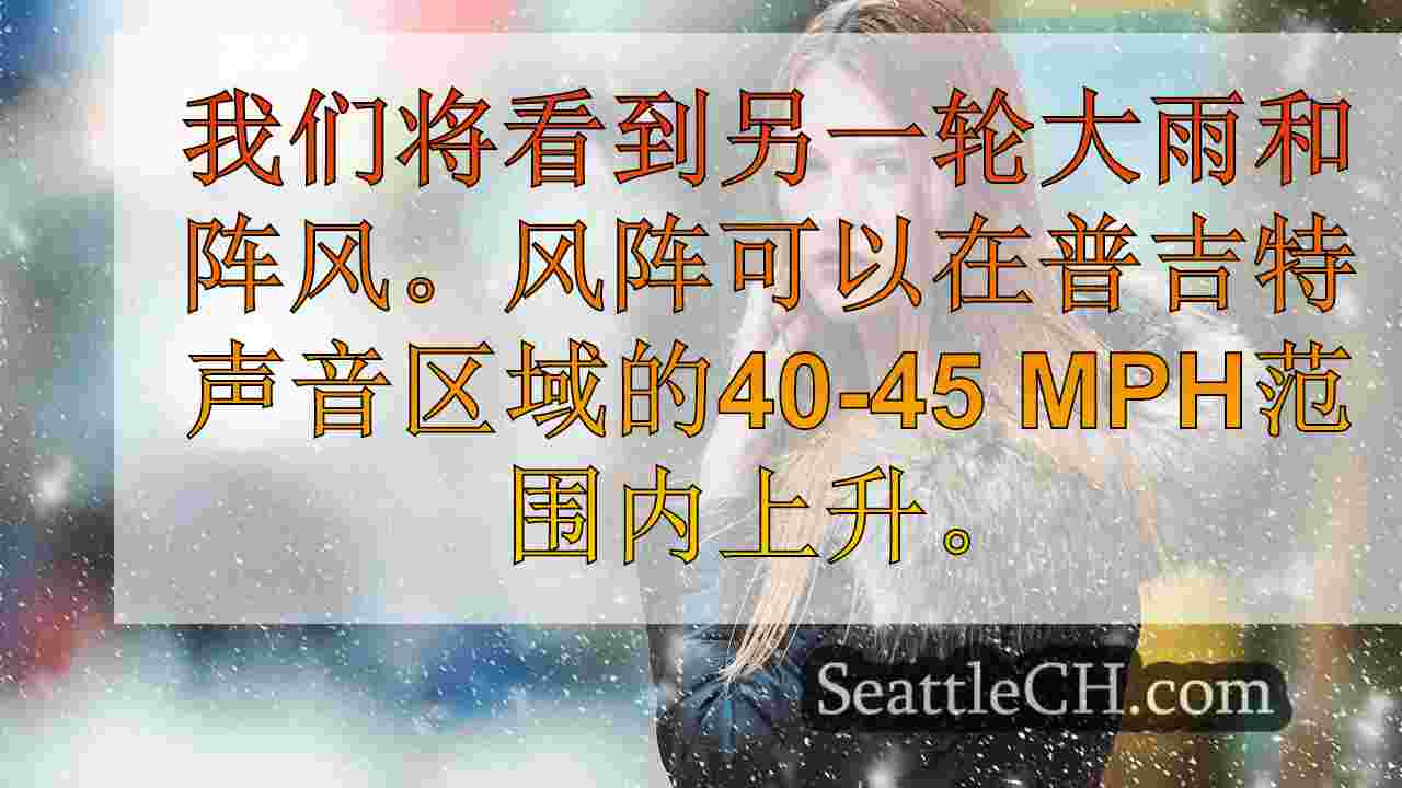 西雅图新闻 SeattleCH