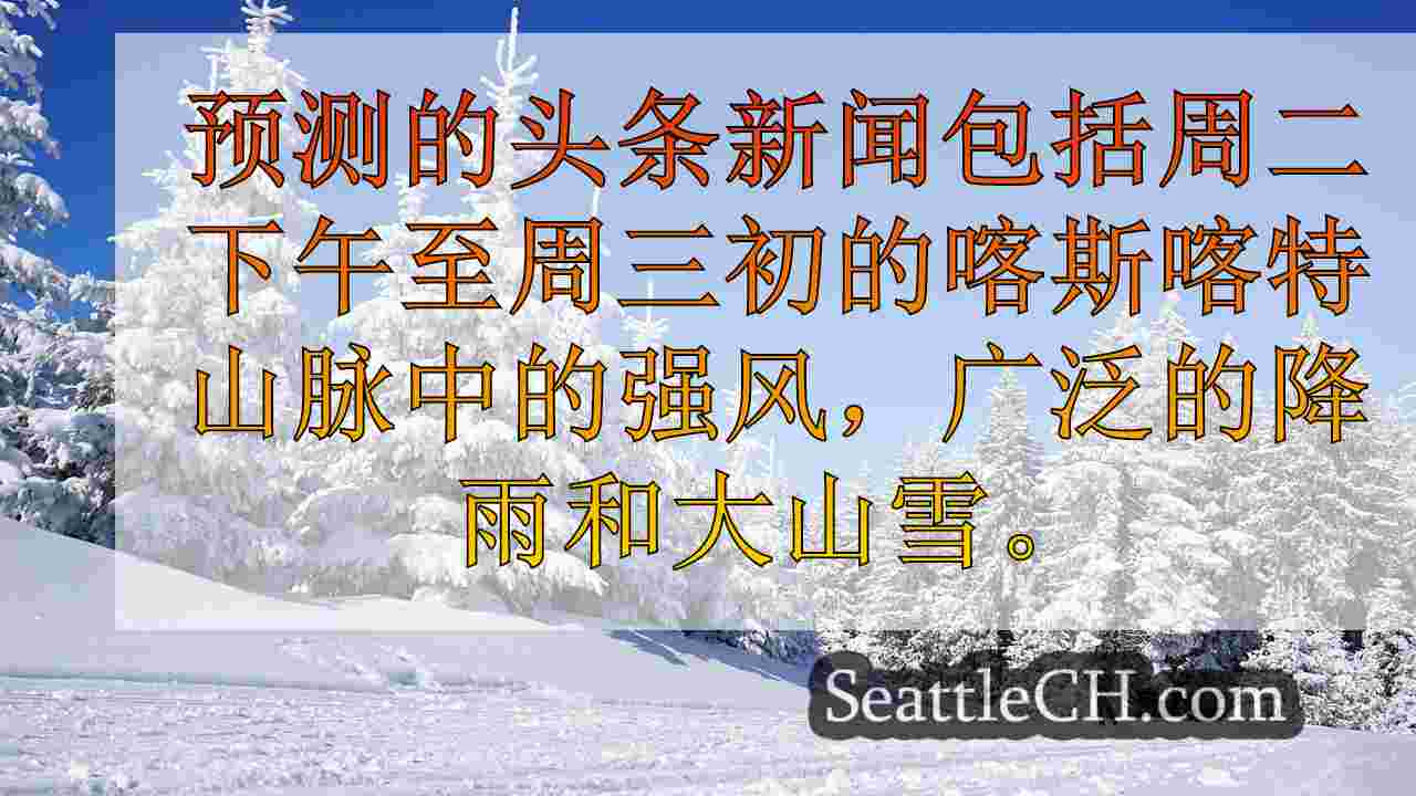 西雅图新闻 SeattleCH
