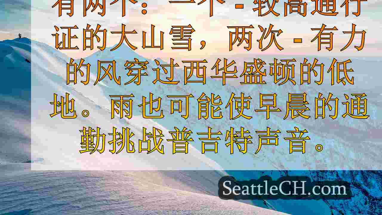 西雅图新闻 SeattleCH