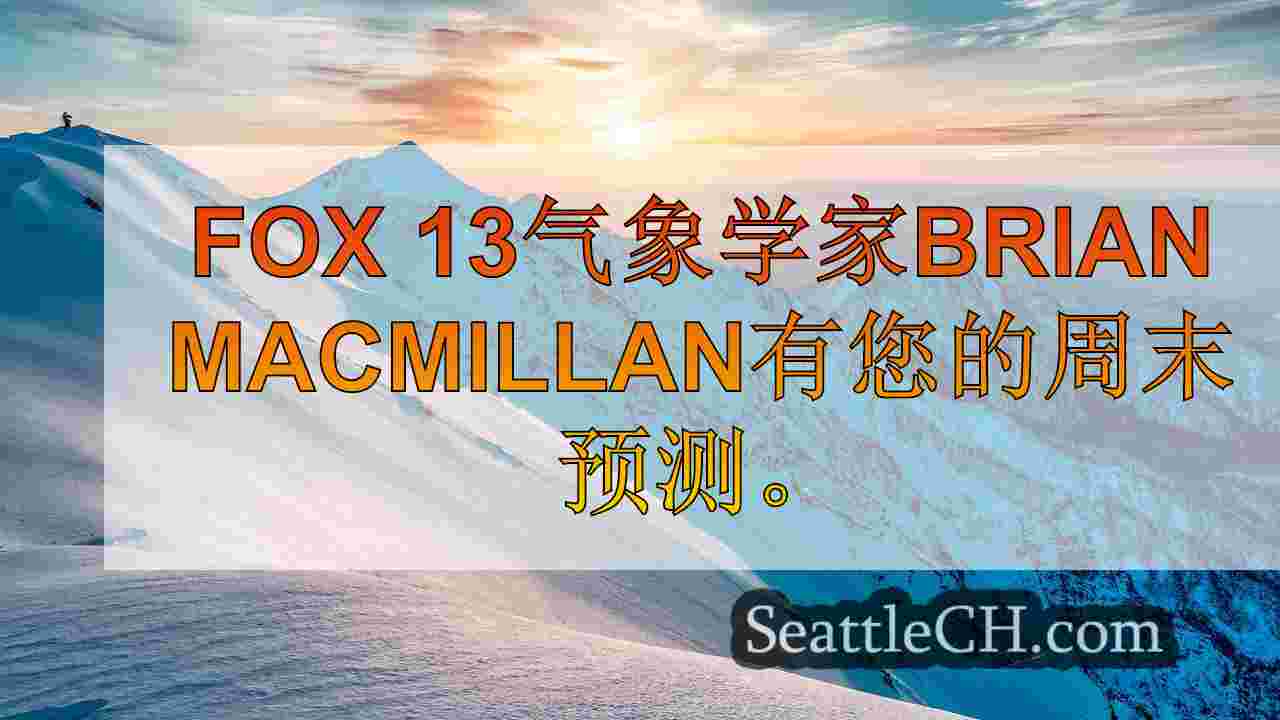 西雅图新闻 SeattleCH