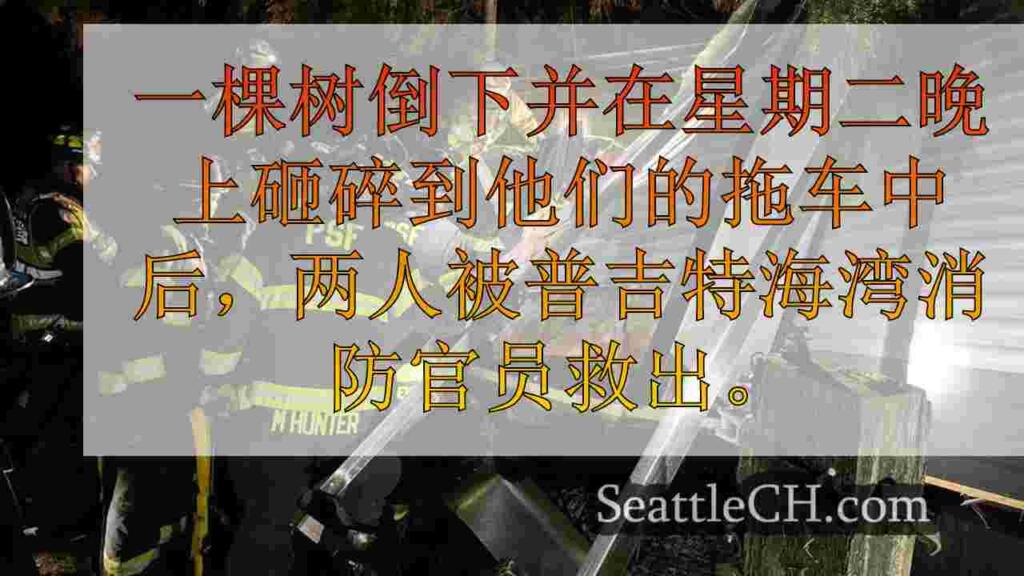 2人在枫树谷的拖车上的树木坠毁后获救
