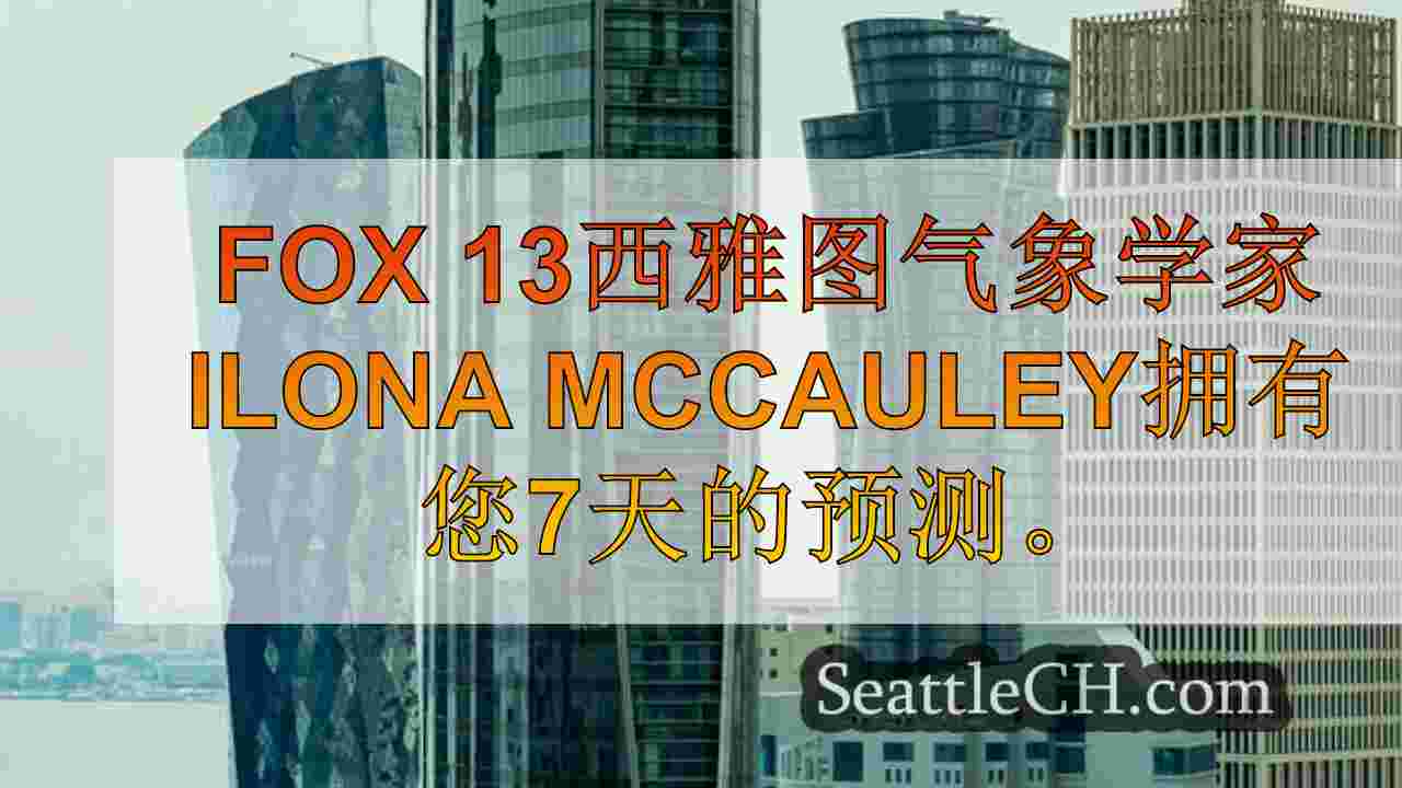 西雅图新闻 SeattleCH