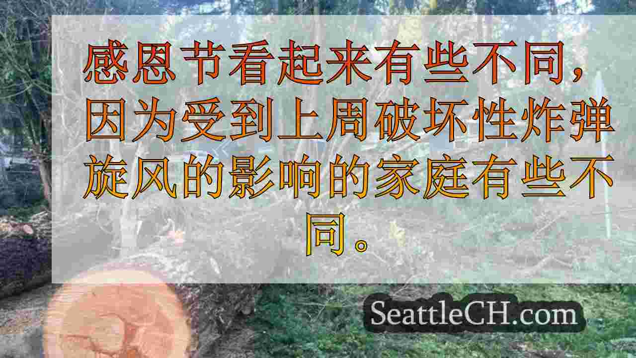 西雅图新闻 SeattleCH