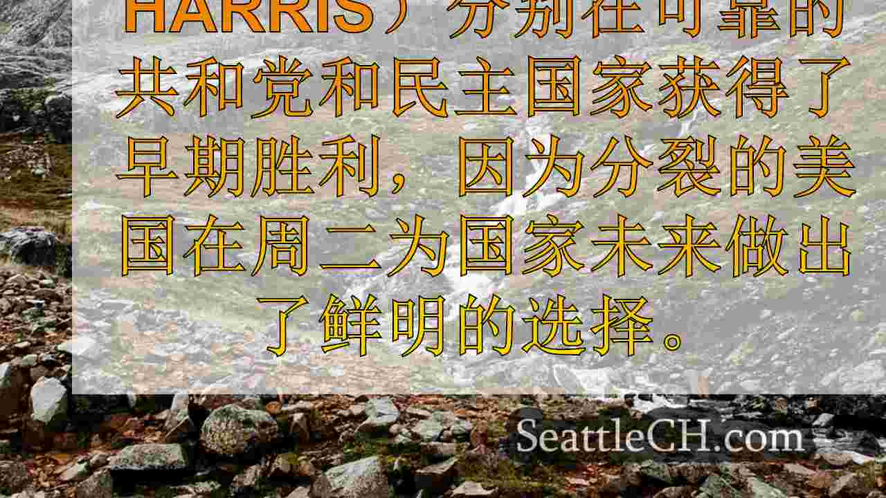 这是华盛顿州每个县在2024年大选中投票选举总统的方式