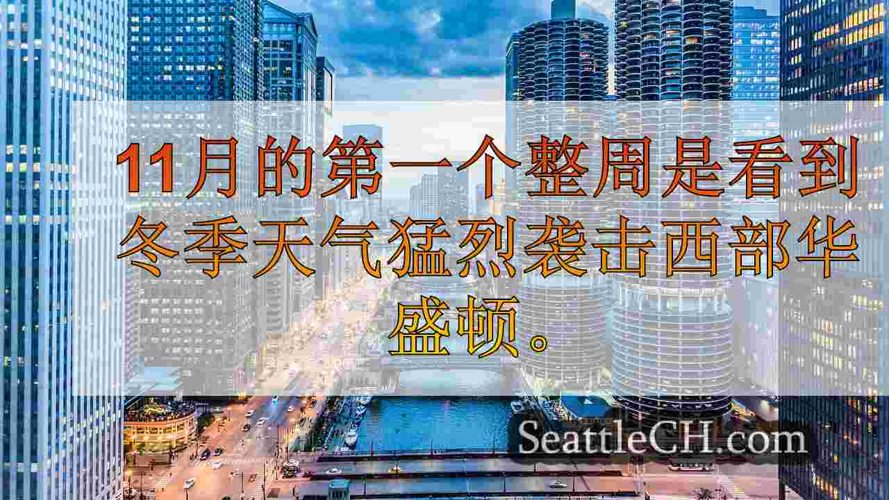 西雅图新闻 SeattleCH