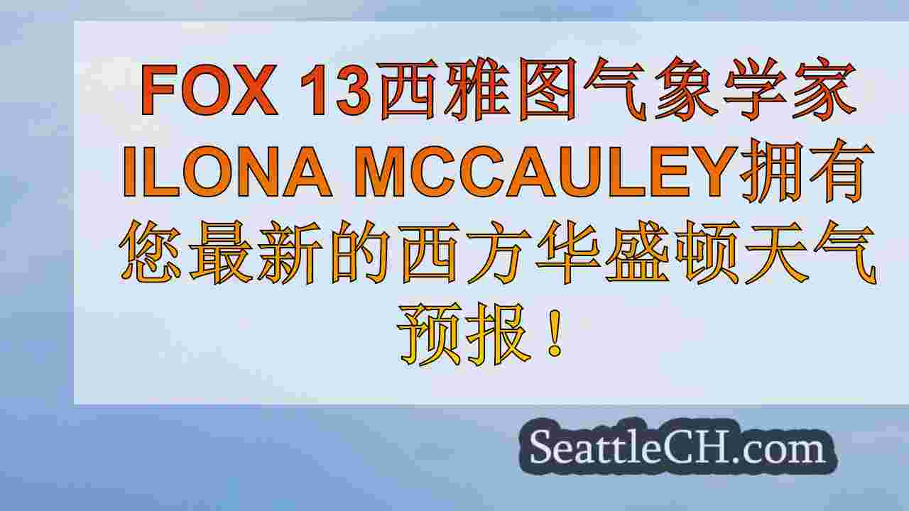 西雅图新闻 SeattleCH