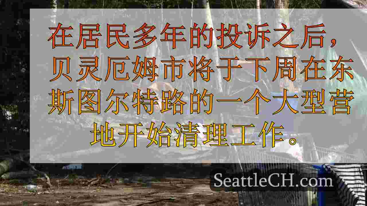 西雅图新闻 SeattleCH