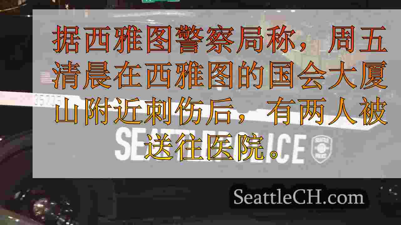 2周五早些时候在国会山刺伤，可疑