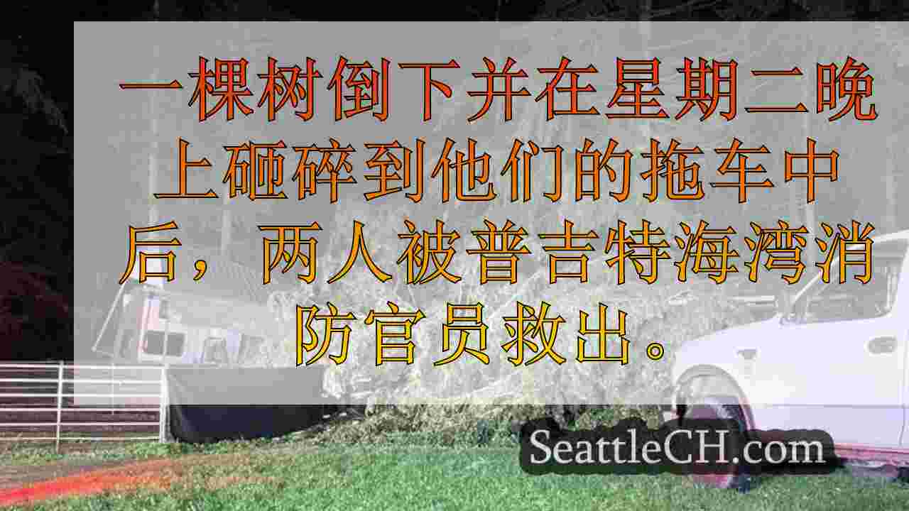 西雅图新闻 SeattleCH
