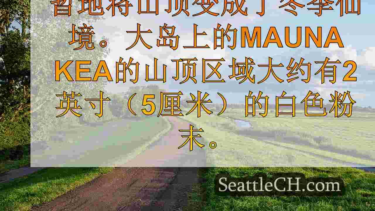 西雅图新闻 SeattleCH