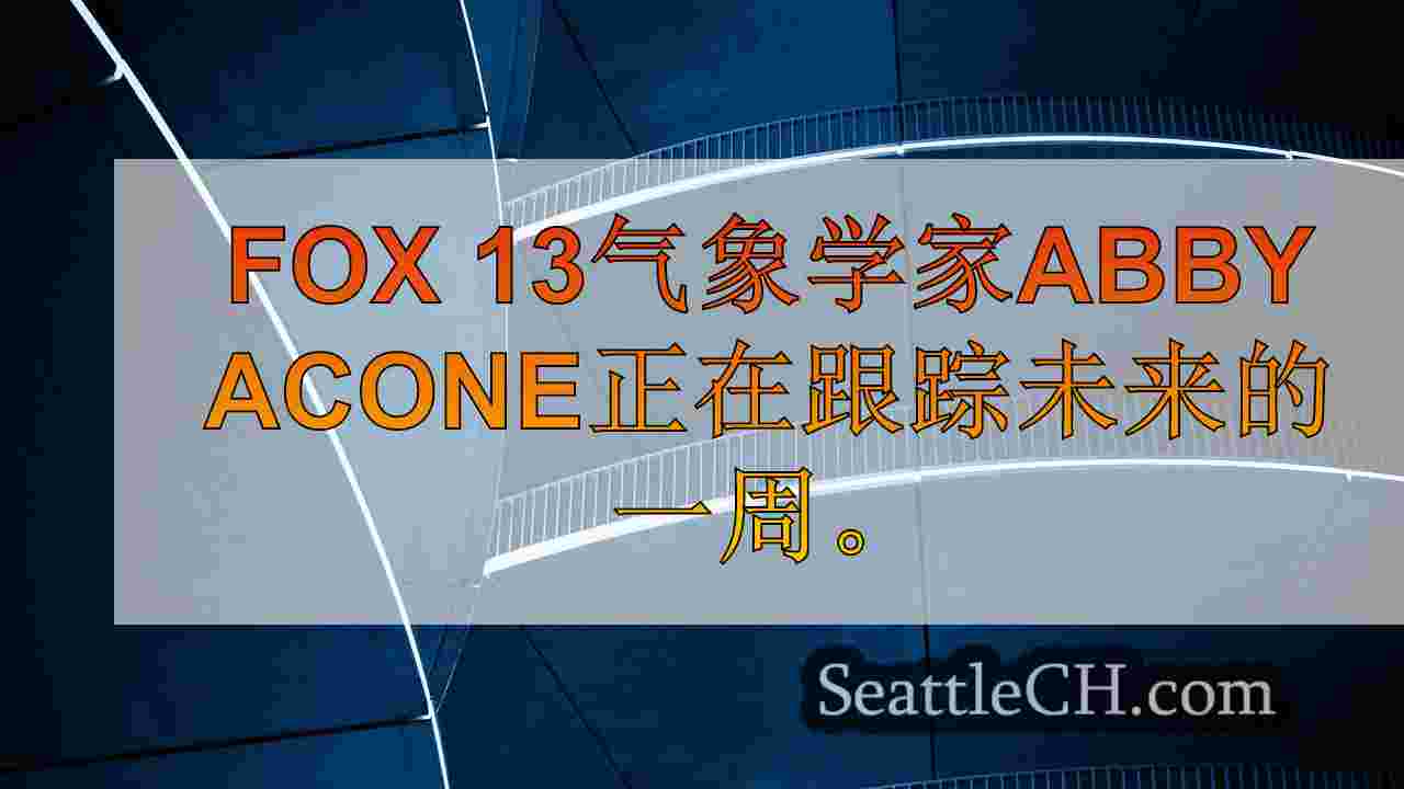 西雅图新闻 SeattleCH