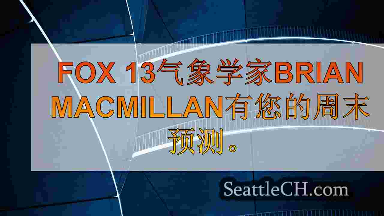 西雅图新闻 SeattleCH