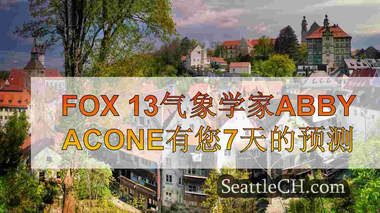 西雅图新闻 SeattleCH