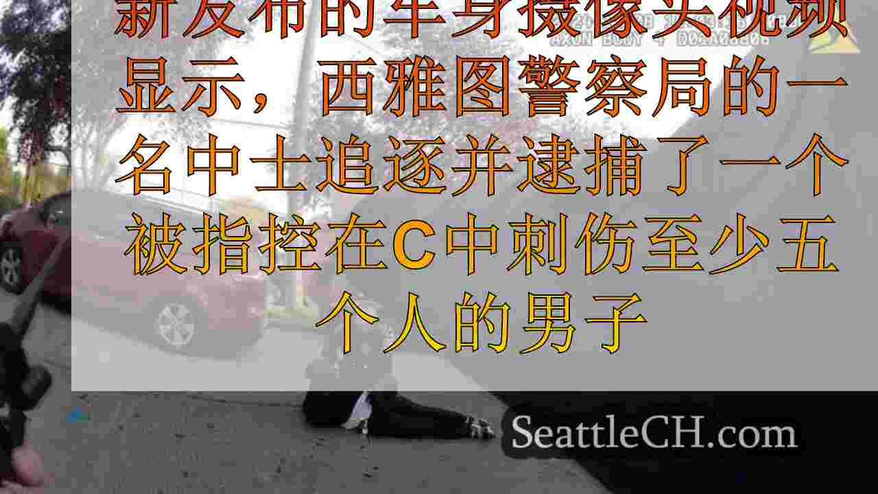 西雅图新闻 SeattleCH