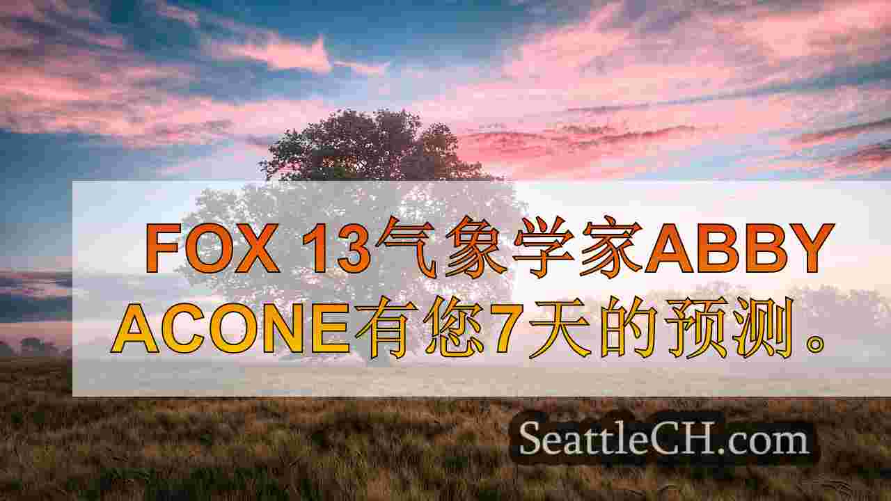 西雅图新闻 SeattleCH