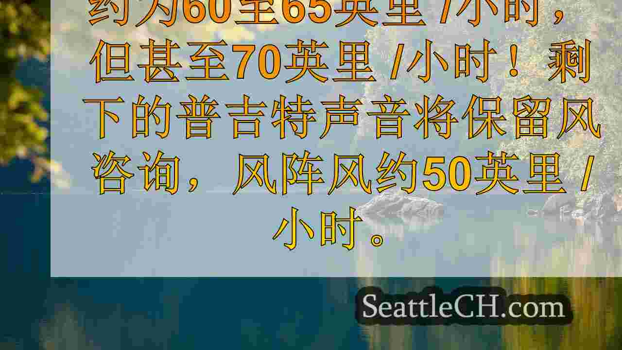 西雅图新闻 SeattleCH