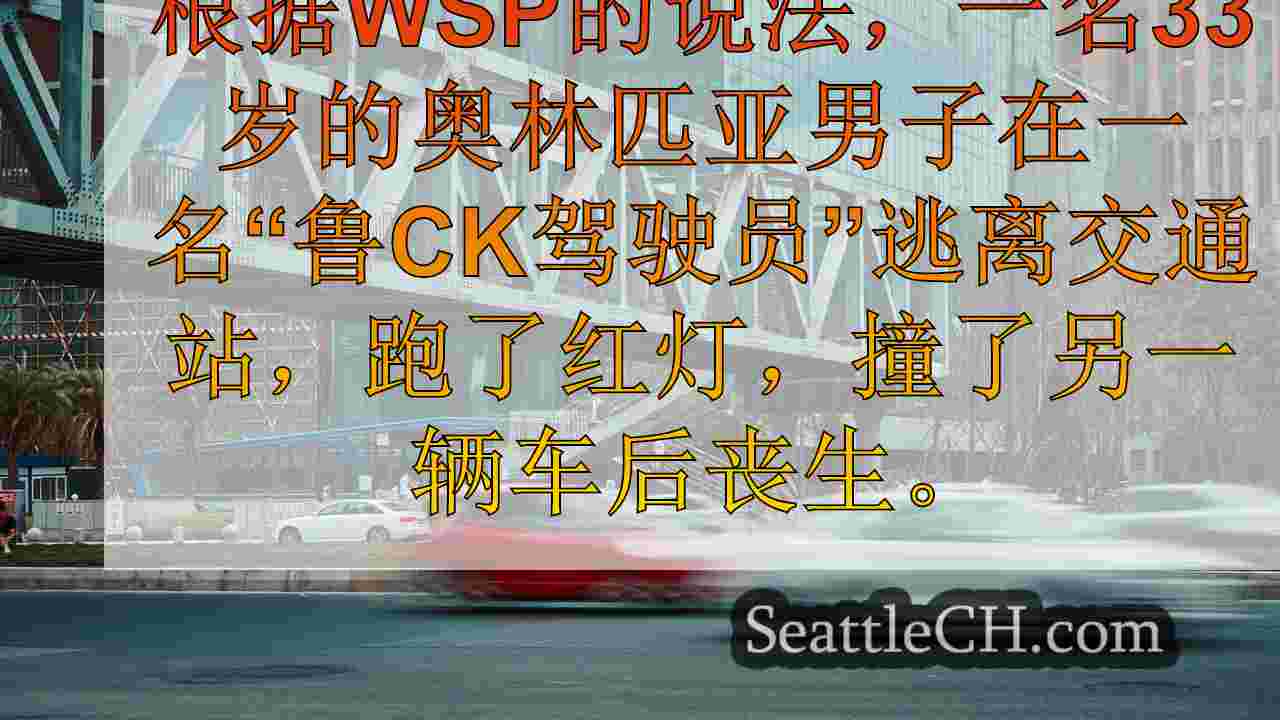 西雅图新闻 SeattleCH