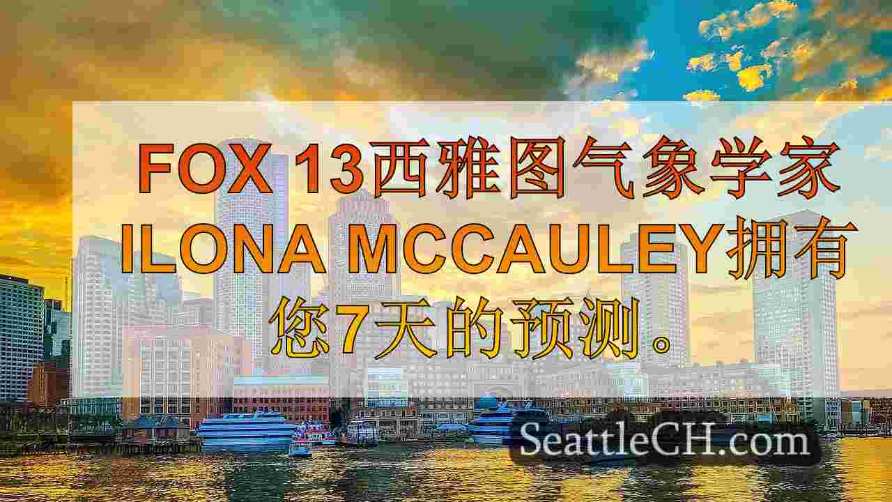 西雅图新闻 SeattleCH