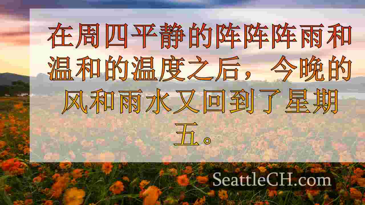 西雅图新闻 SeattleCH