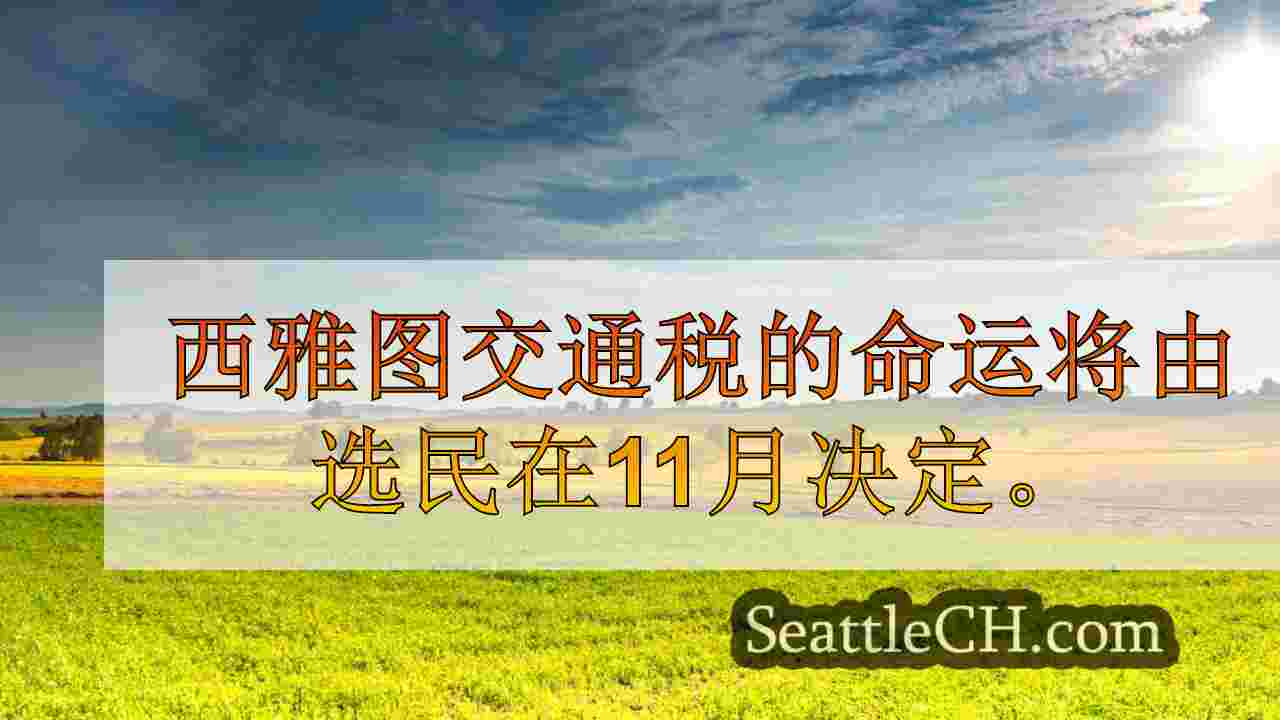 西雅图$ 1.55B的交通运输税，11月大选