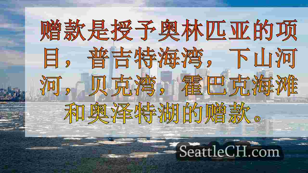 西雅图新闻 SeattleCH