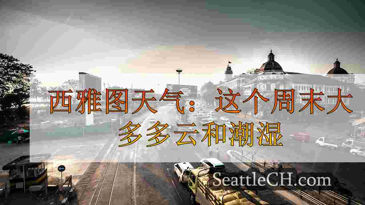 西雅图新闻 SeattleCH